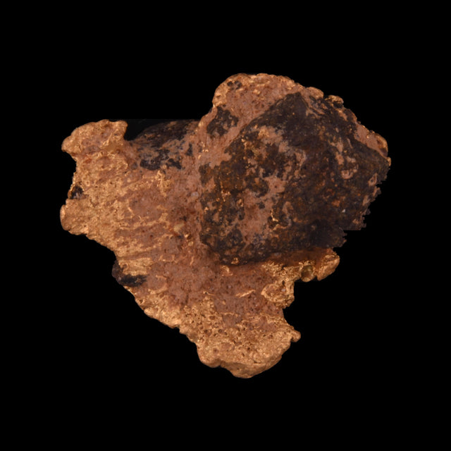 Goldnugget aus Leonora, Westaustralien, 1,38 g, Unikat Nr. 26-0291, freigestellt vor schwarzem Grund