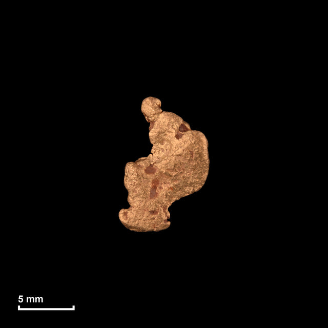 Goldnugget Nr. 26-0151 in tatsächlicher Größe – alle Nuggets im gleichen Maßstab aufgenommen