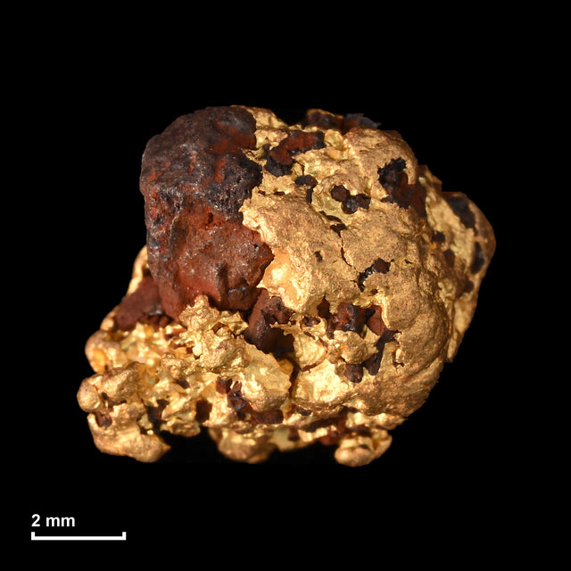 Goldnugget Nr. 26-0337 mit Maßstab: 8,9 × 7,6 mm bei 1,40 g