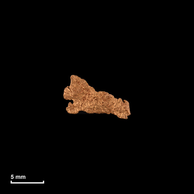 Goldnugget Nr. 26-0170 in tatsächlicher Größe – alle Nuggets im gleichen Maßstab aufgenommen