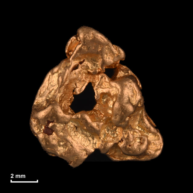 Goldnugget Nr. 26-0250 mit Maßstab: 10,4 × 9,8 mm bei 1,41 g