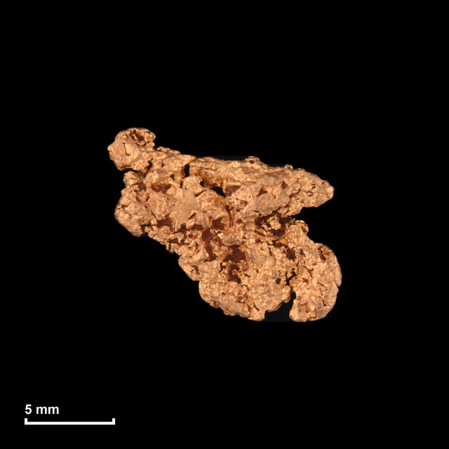 Goldnugget Nr. 26-0021 mit Maßstab: 12,8 × 10,6 mm bei 1,48 g