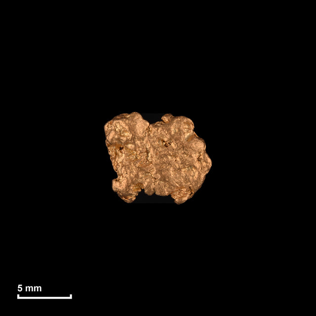 Goldnugget Nr. 26-0238 in tatsächlicher Größe – alle Nuggets im gleichen Maßstab aufgenommen