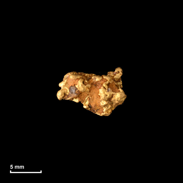 Goldnugget Nr. 26-0339 in tatsächlicher Größe – alle Nuggets im gleichen Maßstab aufgenommen
