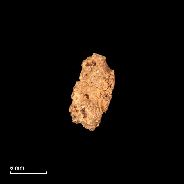 Goldnugget Nr. 26-0012 mit Maßstab: 10,5 × 6,2 mm bei 1,65 g