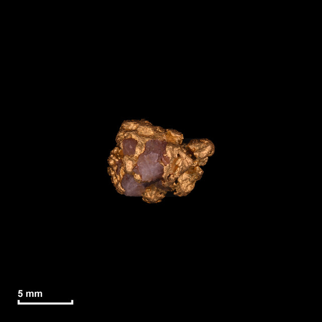 Goldnugget Nr. 26-0258 in tatsächlicher Größe – alle Nuggets im gleichen Maßstab aufgenommen