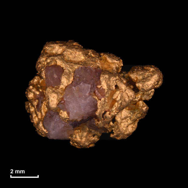 Goldnugget Nr. 26-0258 mit Maßstab: 9,7 × 7,6 mm bei 1,71 g