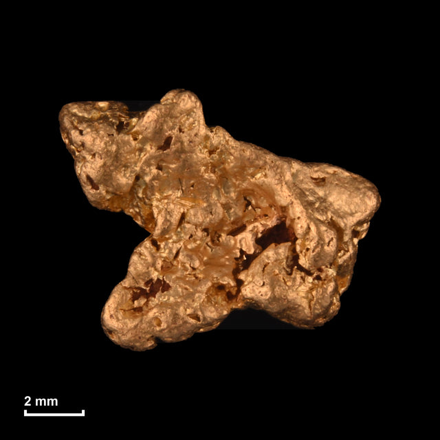 Goldnugget Nr. 26-0261 mit Maßstab: 10,7 × 8,7 mm bei 1,73 g
