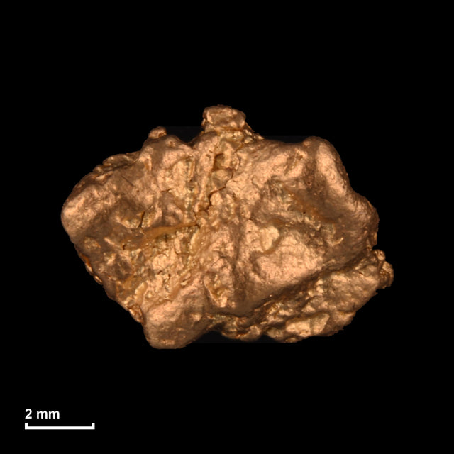Goldnugget Nr. 26-0239 mit Maßstab: 9,6 × 7,0 mm bei 1,77 g