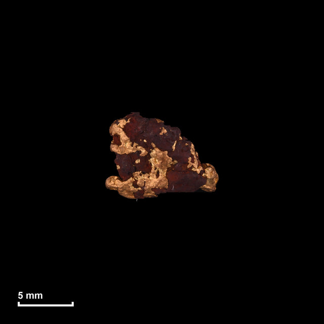 Goldnugget Nr. 26-0148 in tatsächlicher Größe – alle Nuggets im gleichen Maßstab aufgenommen