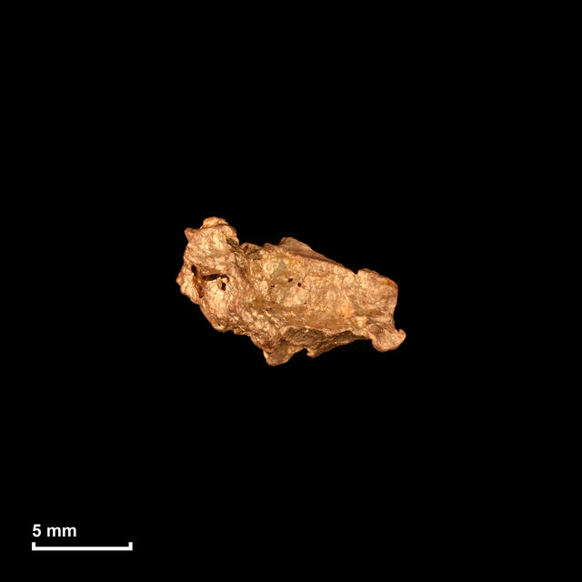 Goldnugget Nr. 26-0309 in tatsächlicher Größe – alle Nuggets im gleichen Maßstab aufgenommen