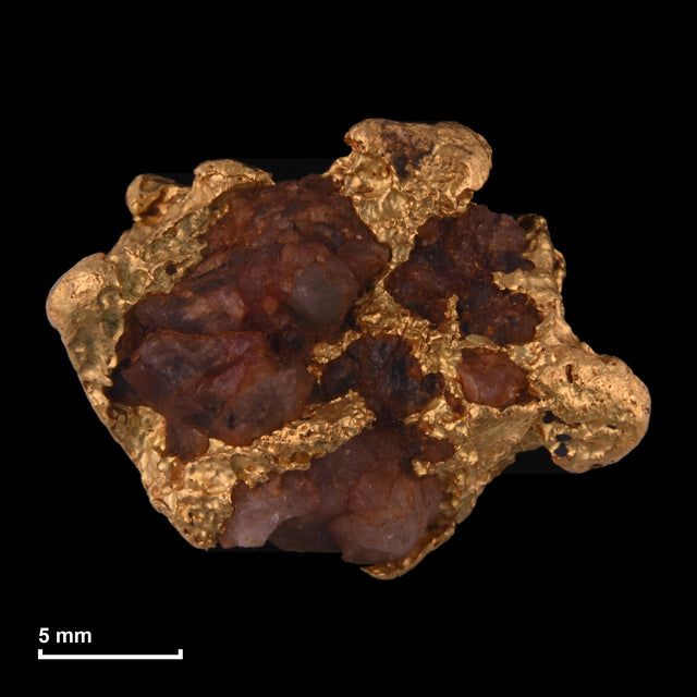 Goldnugget Nr. 26-0266 mit Maßstab: 21,0 × 16,0 mm bei 15,86 g