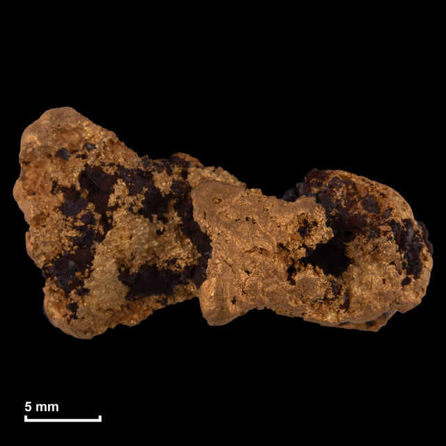 Goldnugget Nr. 26-0234 in tatsächlicher Größe – alle Nuggets im gleichen Maßstab aufgenommen