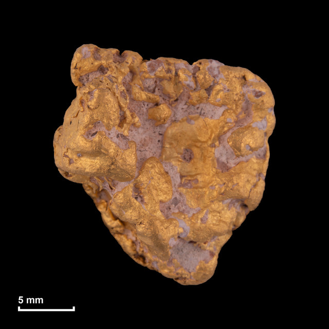Goldnugget Nr. 26-0263 in tatsächlicher Größe – alle Nuggets im gleichen Maßstab aufgenommen