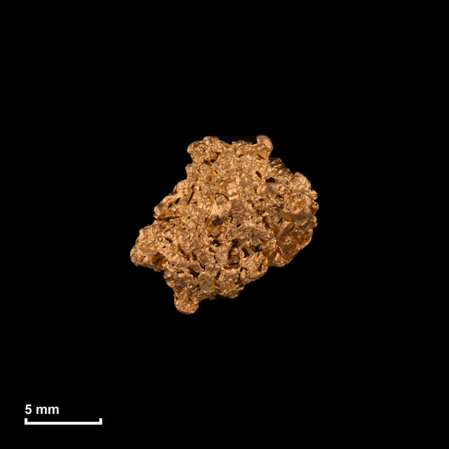 Goldnugget Nr. 26-0262 in tatsächlicher Größe – alle Nuggets im gleichen Maßstab aufgenommen