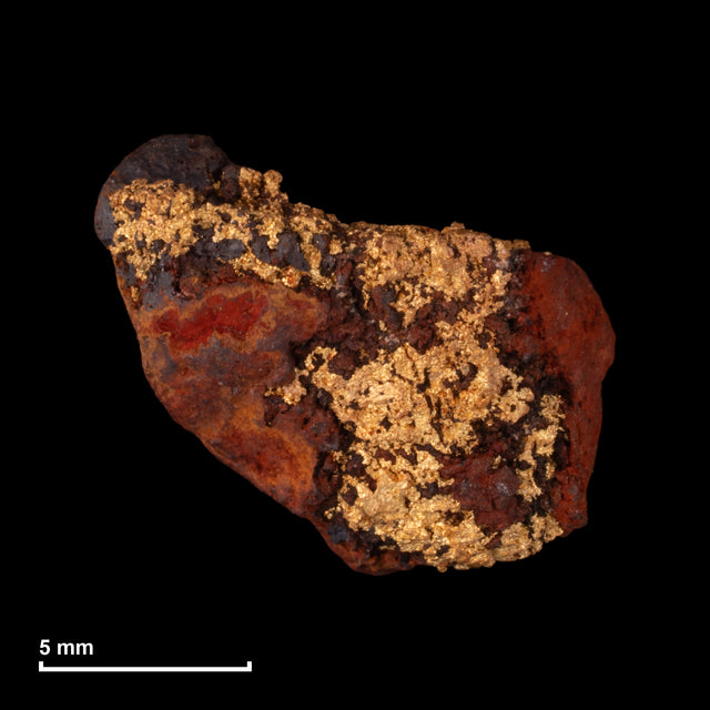 Goldnugget Nr. 26-0302 mit Maßstab: 12,2 × 10,3 mm bei 2,06 g