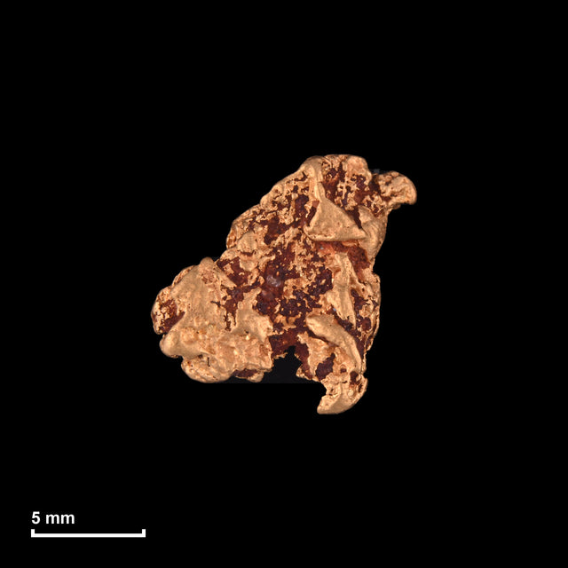 Goldnugget Nr. 26-0011 mit Maßstab: 11,5 × 11,2 mm bei 2,17 g