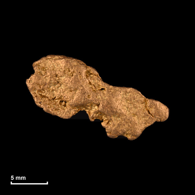 Goldnugget Nr. 26-0265 mit Maßstab: 19,3 × 11,5 mm bei 2,26 g