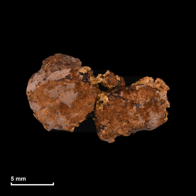 Goldnugget Nr. 26-0293 mit Maßstab: 16,7 × 10,4 mm bei 2,45 g