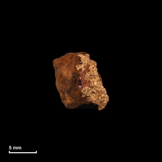 Goldnugget Nr. 26-0284 in tatsächlicher Größe – alle Nuggets im gleichen Maßstab aufgenommen