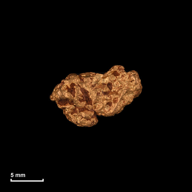 Goldnugget Nr. 26-0232 in tatsächlicher Größe – alle Nuggets im gleichen Maßstab aufgenommen