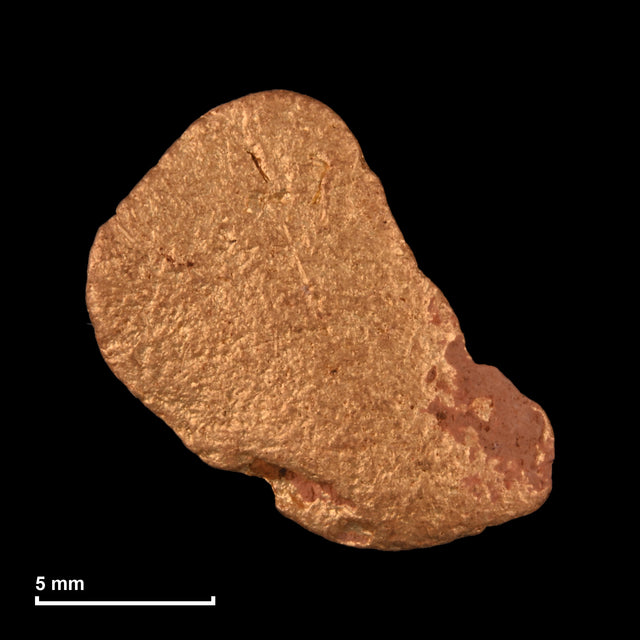 Goldnugget Nr. 26-0289 mit Maßstab: 13,1 × 12,8 mm bei 2,75 g