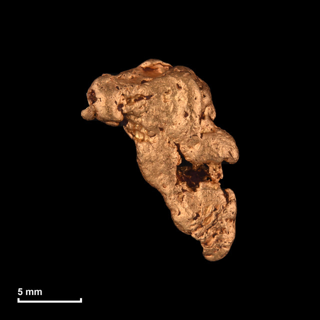 Goldnugget Nr. 26-0023 mit Maßstab: 15,5 × 12,1 mm bei 3,16 g