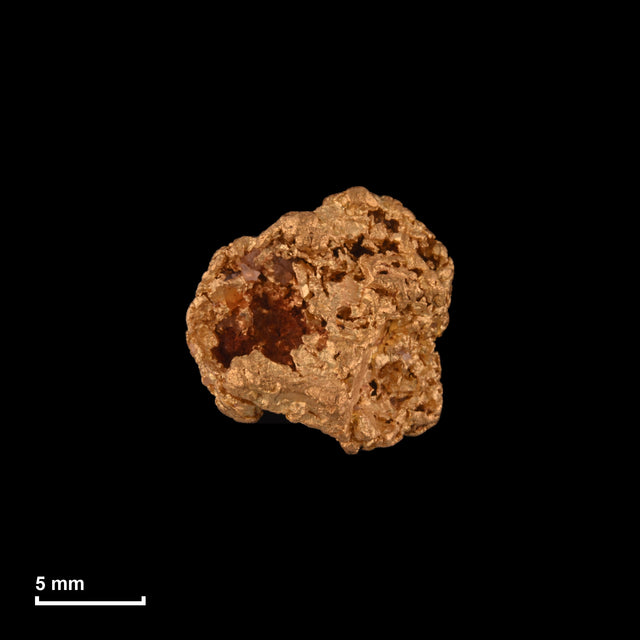 Goldnugget Nr. 26-0280 in tatsächlicher Größe – alle Nuggets im gleichen Maßstab aufgenommen