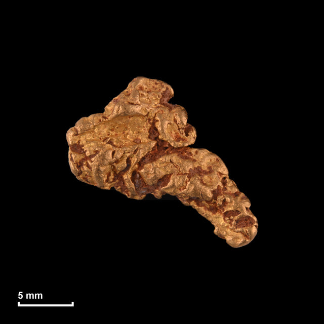 Goldnugget Nr. 26-0279 in tatsächlicher Größe – alle Nuggets im gleichen Maßstab aufgenommen