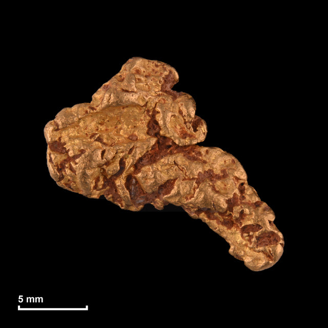 Goldnugget Nr. 26-0279 mit Maßstab: 17,2 × 15,4 mm bei 3,82 g