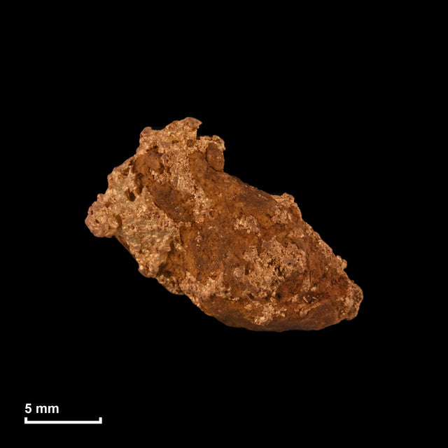 Goldnugget Nr. 26-0288 in tatsächlicher Größe – alle Nuggets im gleichen Maßstab aufgenommen