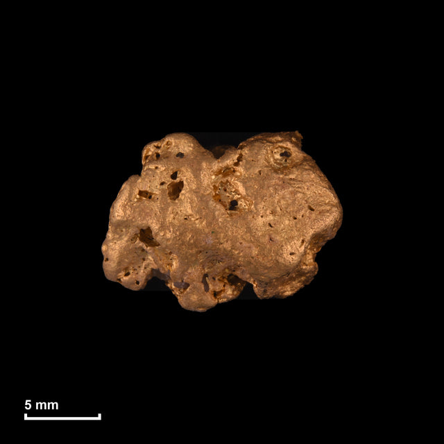 Goldnugget Nr. 26-0278 in tatsächlicher Größe – alle Nuggets im gleichen Maßstab aufgenommen