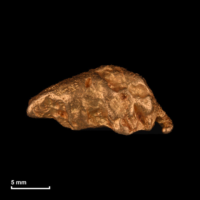 Goldnugget Nr. 26-0273 mit Maßstab: 18,7 × 9,0 mm bei 7,39 g