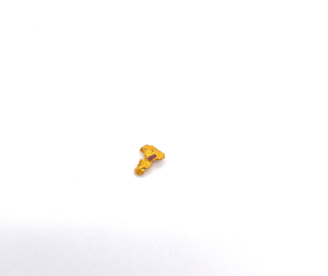 Goldnugget 0,72g