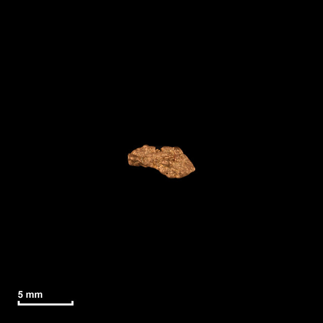 Goldnugget Nr. 26-0229 in tatsächlicher Größe – alle Nuggets im gleichen Maßstab aufgenommen