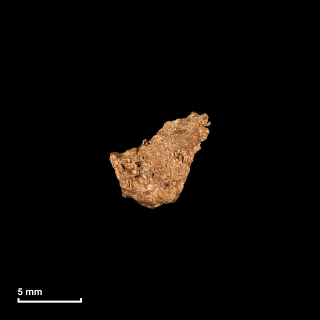 Goldnugget Nr. 26-0057 mit Maßstab: 7,8 × 7,5 mm bei 0,22 g