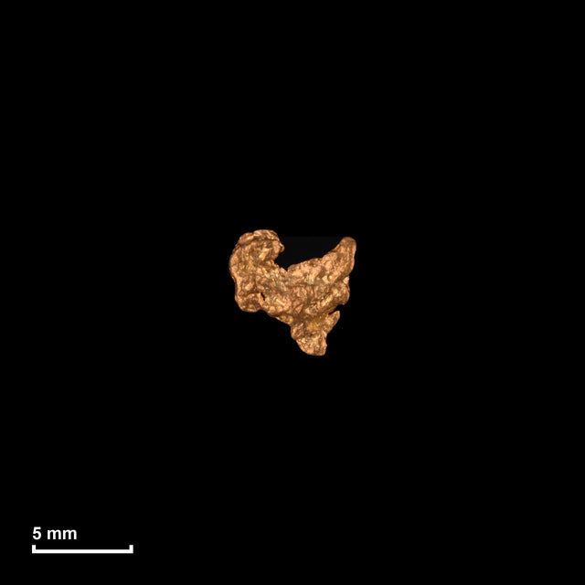 Goldnugget Nr. 26-0197 in tatsächlicher Größe – alle Nuggets im gleichen Maßstab aufgenommen