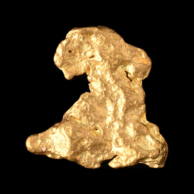 Goldnugget aus Leonora, Westaustralien, 0,24 g, Unikat Nr. 26-0197, freigestellt vor schwarzem Grund