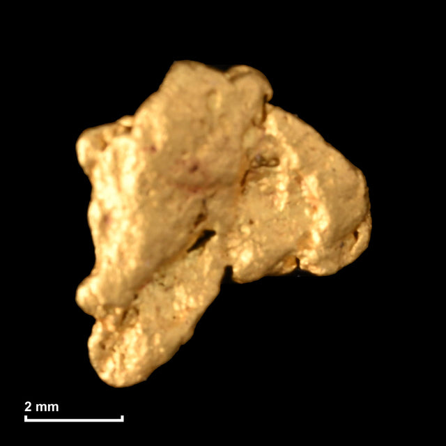 Goldnugget Nr. 26-0342 mit Maßstab: 6,6 × 6,0 mm bei 0,26 g