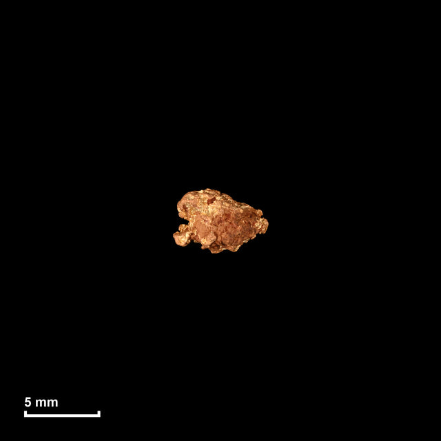 Goldnugget Nr. 26-0314 in tatsächlicher Größe – alle Nuggets im gleichen Maßstab aufgenommen