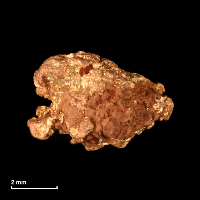 Goldnugget Nr. 26-0314 mit Maßstab: 6,3 × 4,3 mm bei 0,31 g