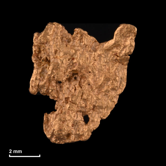 Goldnugget Nr. 26-0215 mit Maßstab: 7,8 × 7,0 mm bei 0,32 g