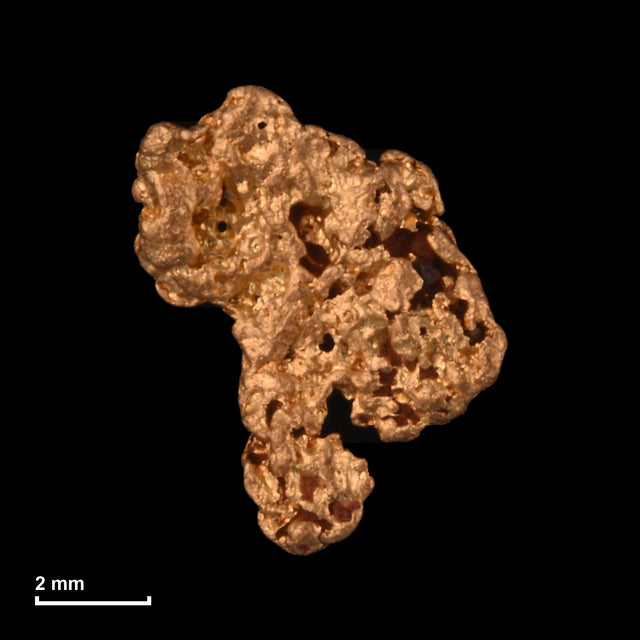 Goldnugget Nr. 26-0194 mit Maßstab: 8,1 × 6,5 mm bei 0,33 g
