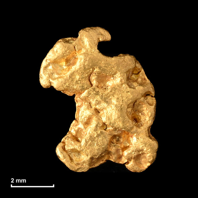 Goldnugget Nr. 26-0343 mit Maßstab: 6,7 × 5,5 mm bei 0,33 g