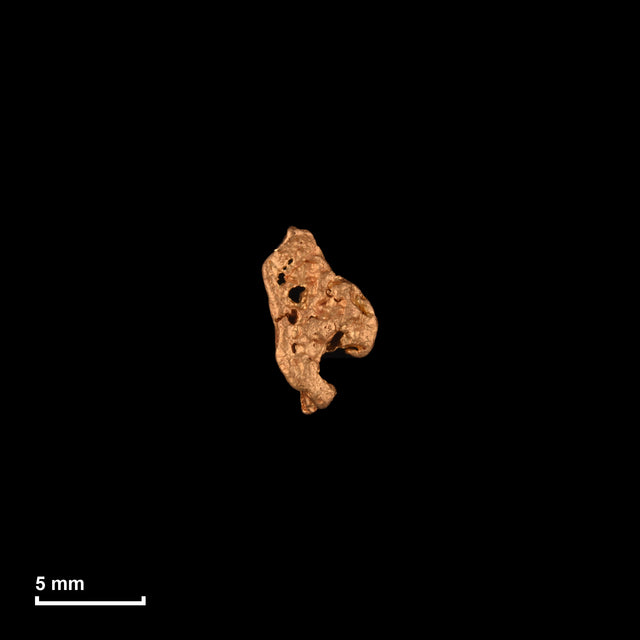Goldnugget Nr. 26-0164 in tatsächlicher Größe – alle Nuggets im gleichen Maßstab aufgenommen