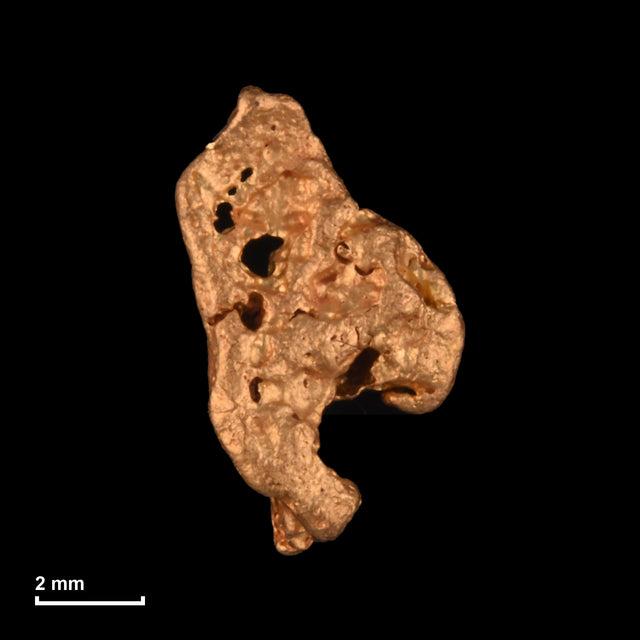 Goldnugget Nr. 26-0164 mit Maßstab: 8,6 × 5,3 mm bei 0,35 g