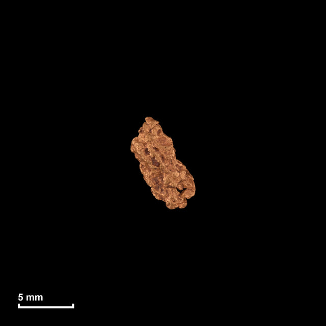 Goldnugget Nr. 26-0213 in tatsächlicher Größe – alle Nuggets im gleichen Maßstab aufgenommen