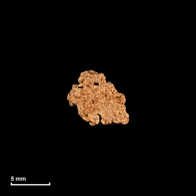 Goldnugget Nr. 26-0064 mit Maßstab: 7,9 × 7,1 mm bei 0,36 g