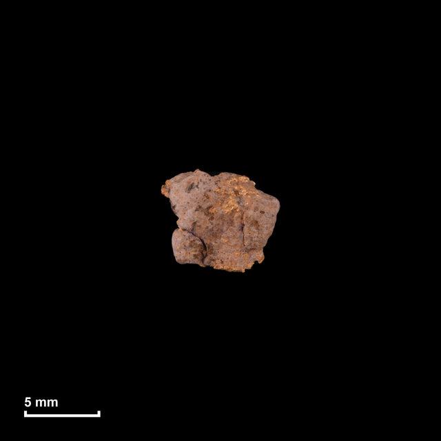 Goldnugget Nr. 26-0292 in tatsächlicher Größe – alle Nuggets im gleichen Maßstab aufgenommen