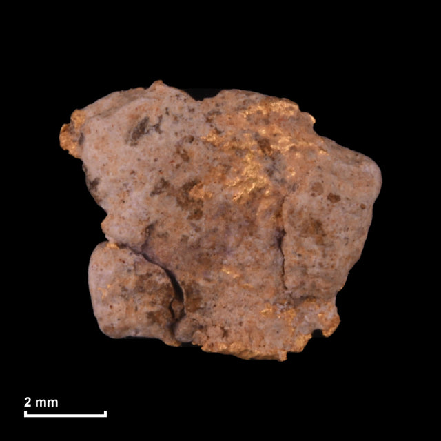 Goldnugget Nr. 26-0292 mit Maßstab: 7,8 × 6,8 mm bei 0,36 g